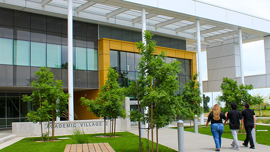 academic village 2